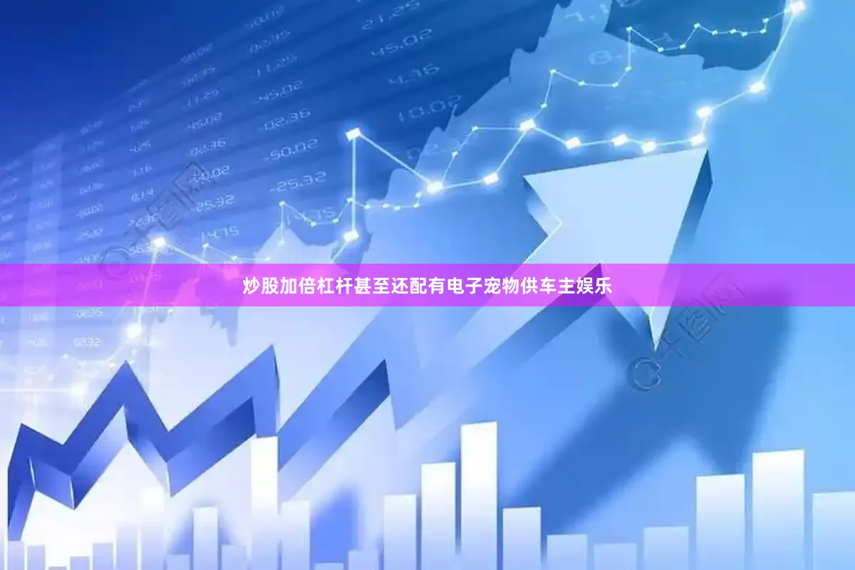 炒股加倍杠杆甚至还配有电子宠物供车主娱乐