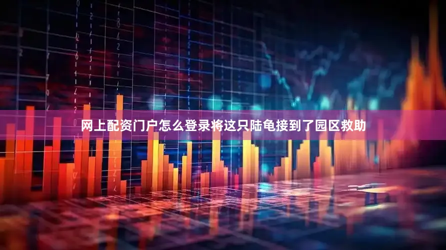 网上配资门户怎么登录将这只陆龟接到了园区救助