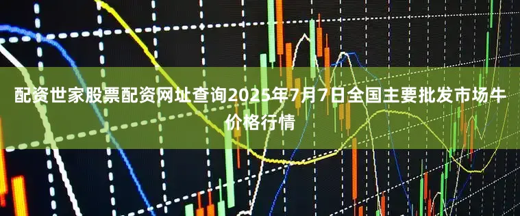 配资世家股票配资网址查询2025年7月7日全国主要批发市场牛价格行情