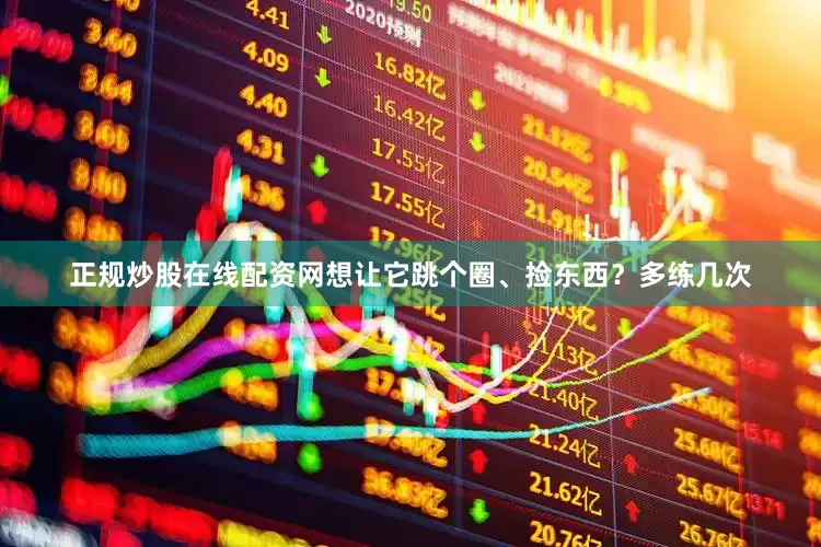 正规炒股在线配资网想让它跳个圈、捡东西？多练几次