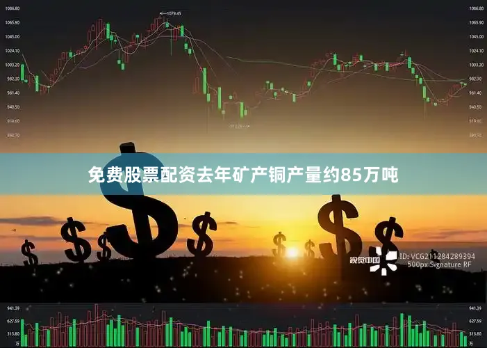 免费股票配资去年矿产铜产量约85万吨