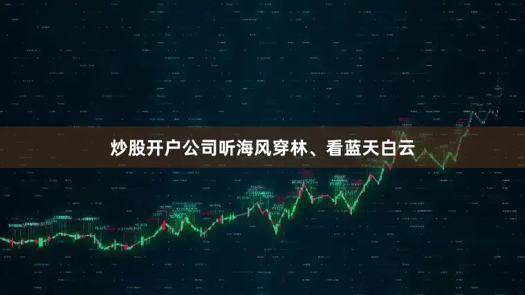 炒股开户公司听海风穿林、看蓝天白云