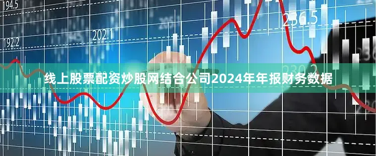 线上股票配资炒股网结合公司2024年年报财务数据