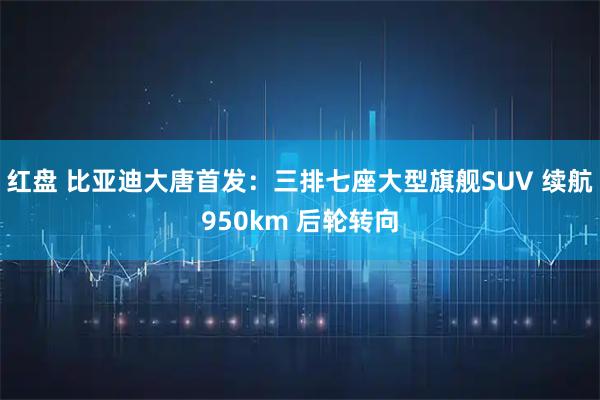 红盘 比亚迪大唐首发：三排七座大型旗舰SUV 续航950km 后轮转向