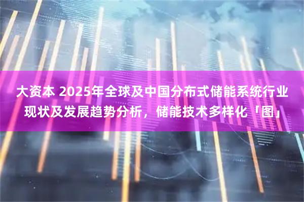 大资本 2025年全球及中国分布式储能系统行业现状及发展趋势分析，储能技术多样化「图」
