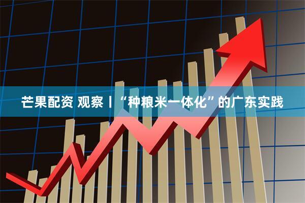 芒果配资 观察丨“种粮米一体化”的广东实践