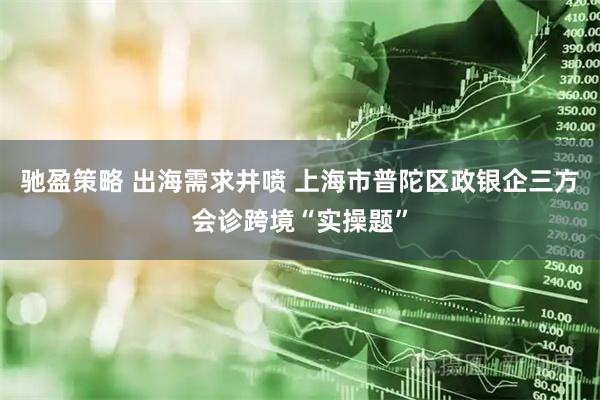 驰盈策略 出海需求井喷 上海市普陀区政银企三方会诊跨境“实操题”